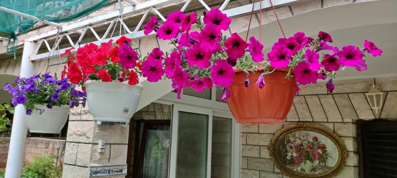Apartments 1000 Flowers Stari Grad  Buitenkant foto