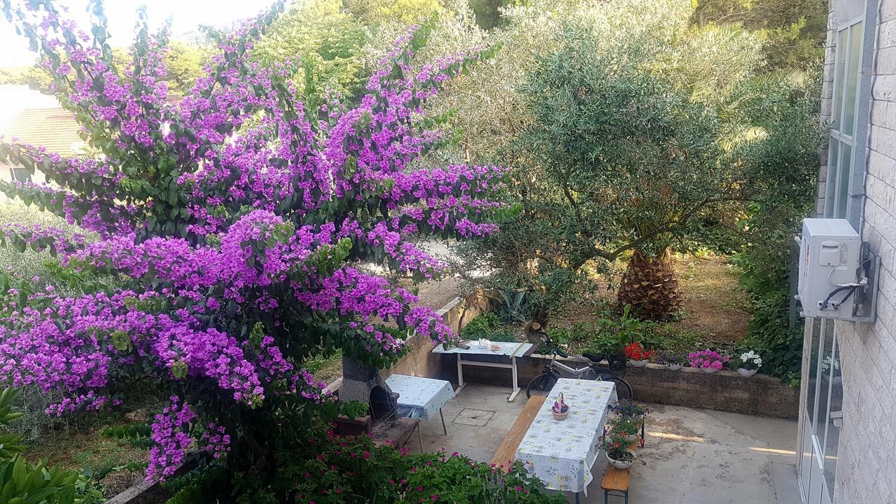 Apartments 1000 Flowers Stari Grad  Buitenkant foto